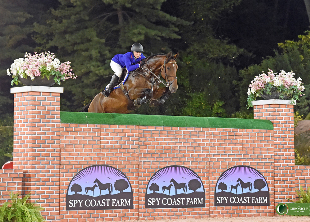 The Chronicle of the Horse