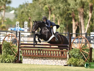 2018 $15,000 USHJA International Hunt-And-Go Hunter Derby at the Winter Equestrian Festival