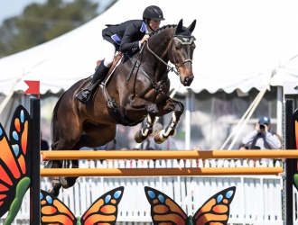 2018 Carolina International CIC** - Show Jumping