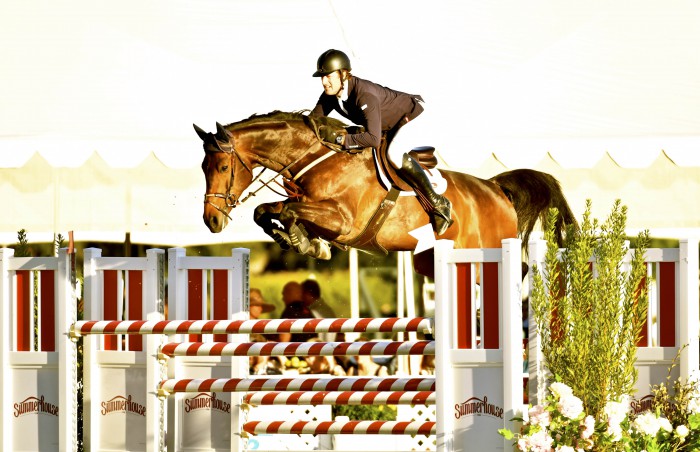 Mylord Cornet and Harley Brown web