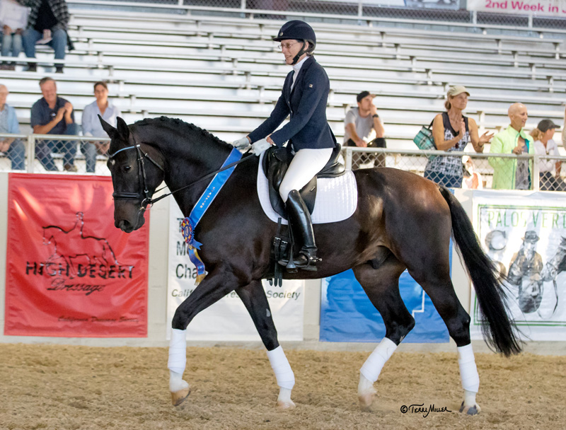 Hilari Fleming a three time Great American USDF Region 7 Dressage