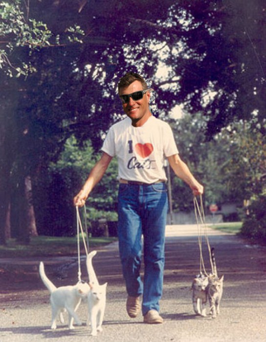 Boyd Loves Cats 023ff2c6c107fa0490cfa17849ffa540