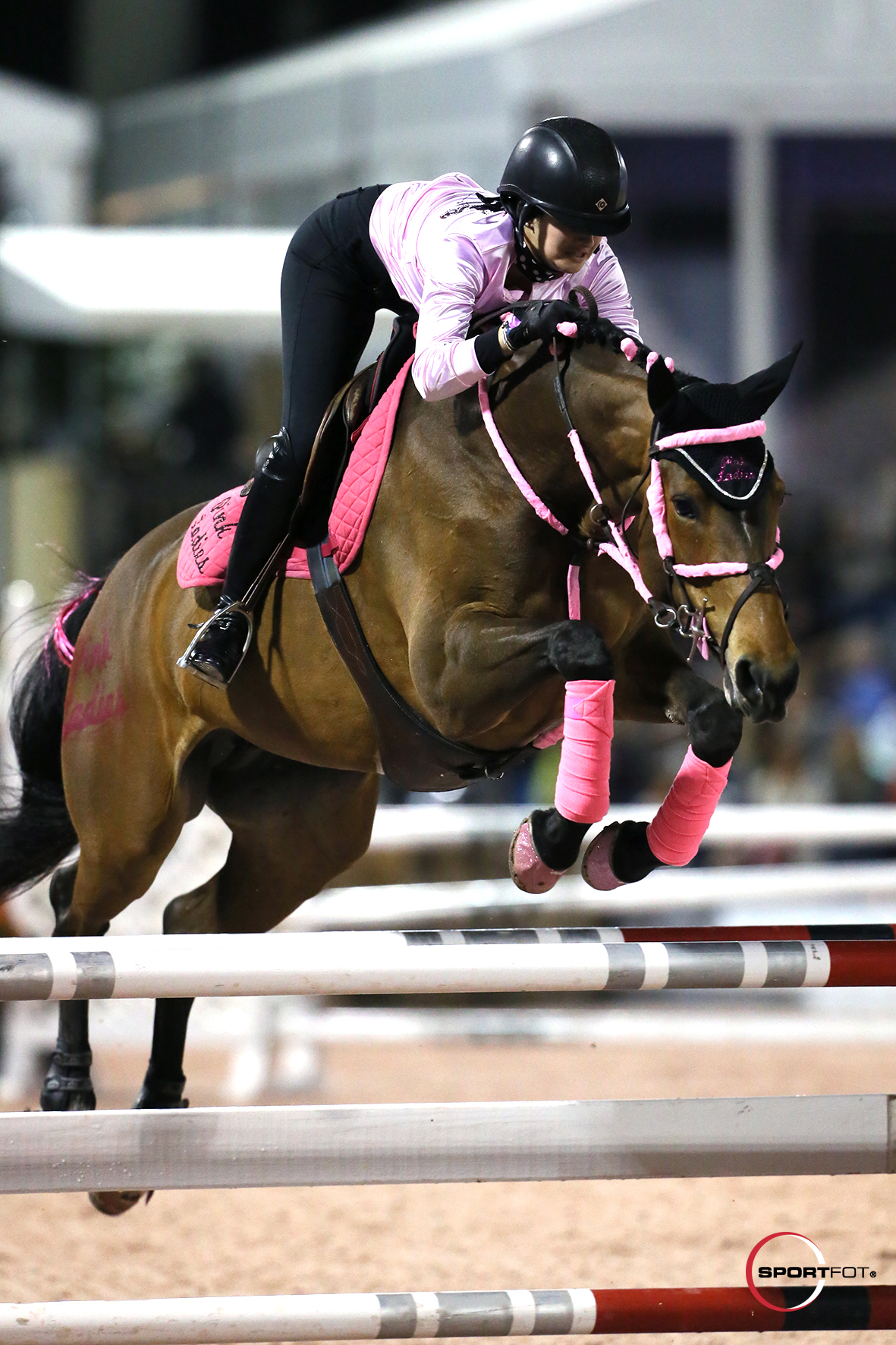 Lindsey Tomeu and Gold Lux GCC 298_9271 Sportfot