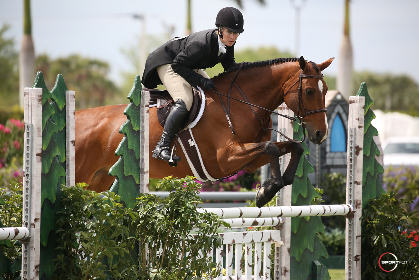 07/03/2018 ; Wellington FL ; Winter Equestrian Festival - Week 9