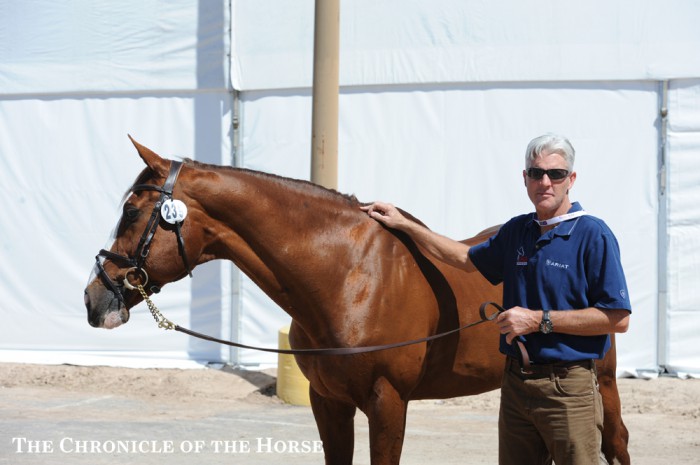 Flexible and Rich Fellers contested numerous FEI World Cup Finals together, including the 2015 version in Las Vegas. Photo by Ann Glavan.