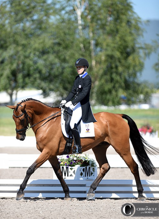 Dassett Profile and McKinsey Wickman trotted into first place after one-star dressage at the Adequan FEI North American Youth Championships with a score of 28.6 penalties.