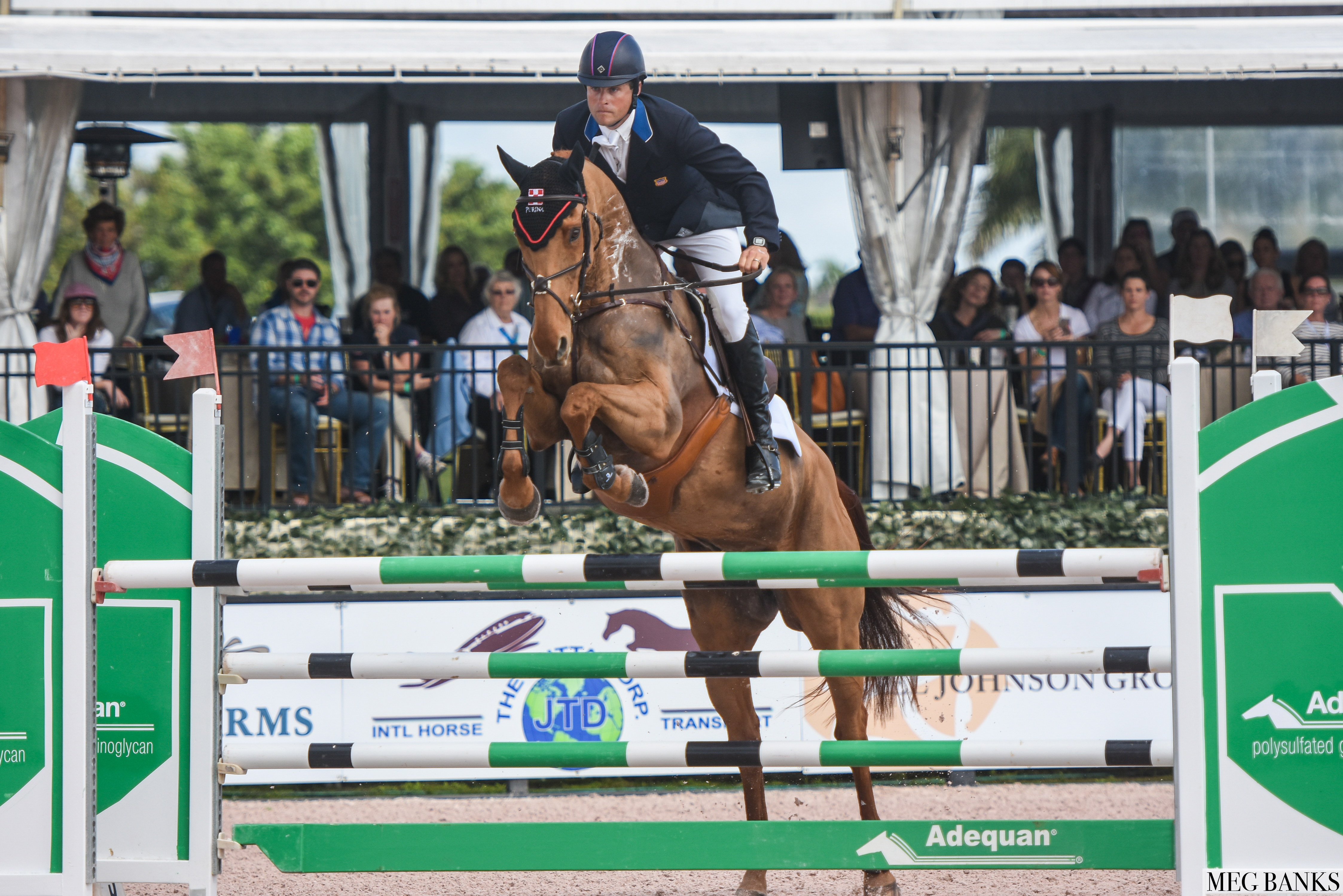 equestrian sport productions