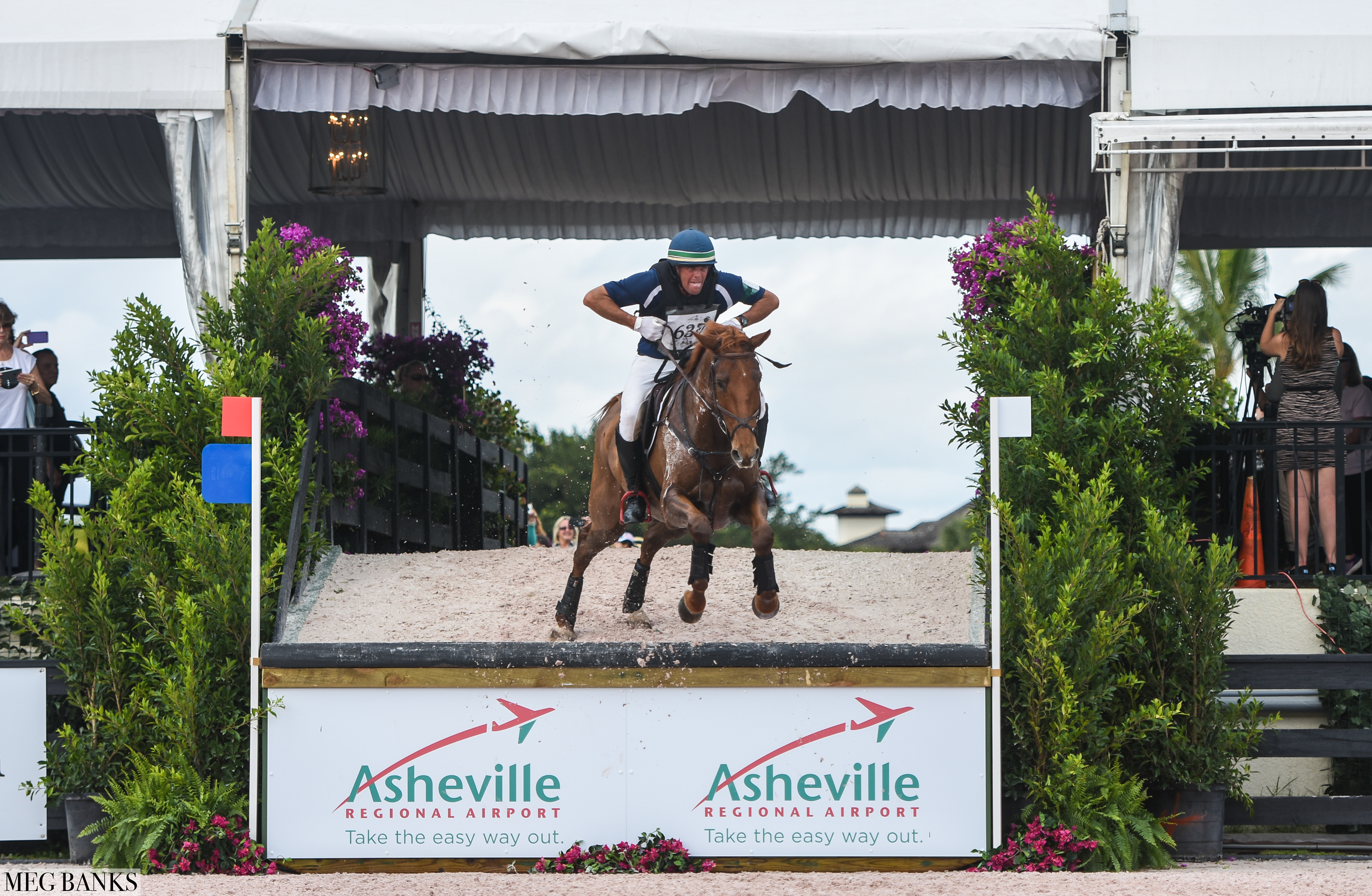 equestrian sport productions