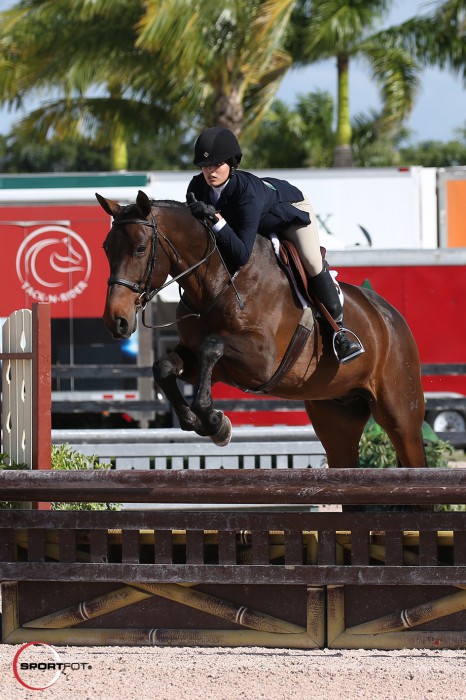 01/03/2017 ; Wellington FL ; Winter Equestrian Festival - Week 8