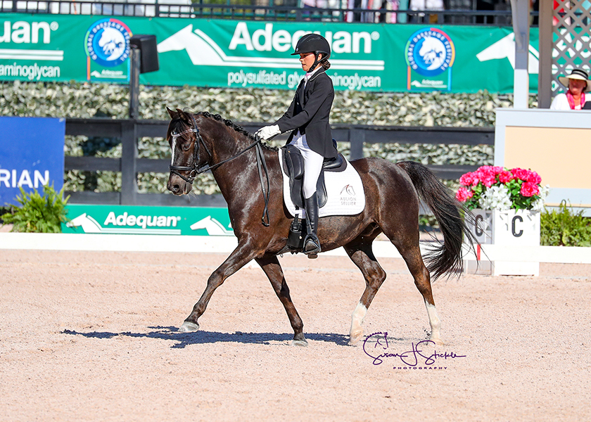 ScarlettHansen.ReveDeGlatigny.Pony.9GD85698©SusanJStickle.com.