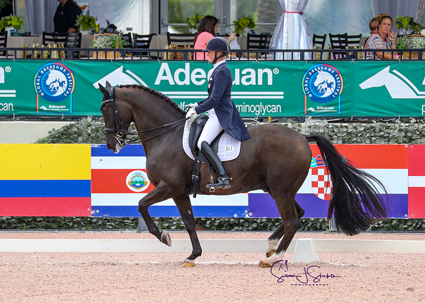 Katherine Bateson Chandler and Alcazar.