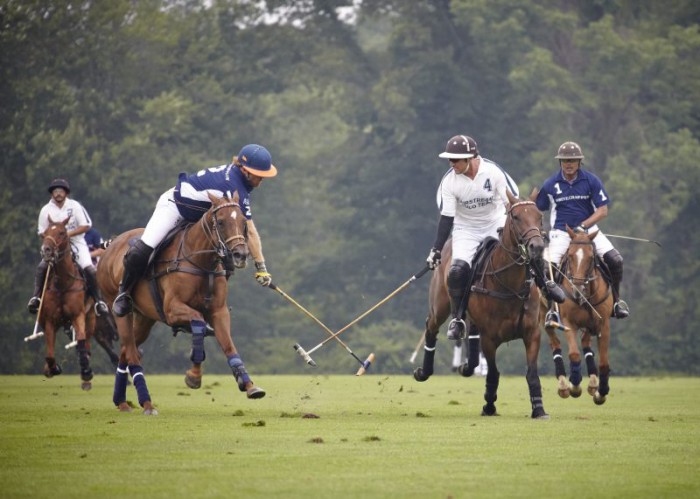 krispolo4-800x571