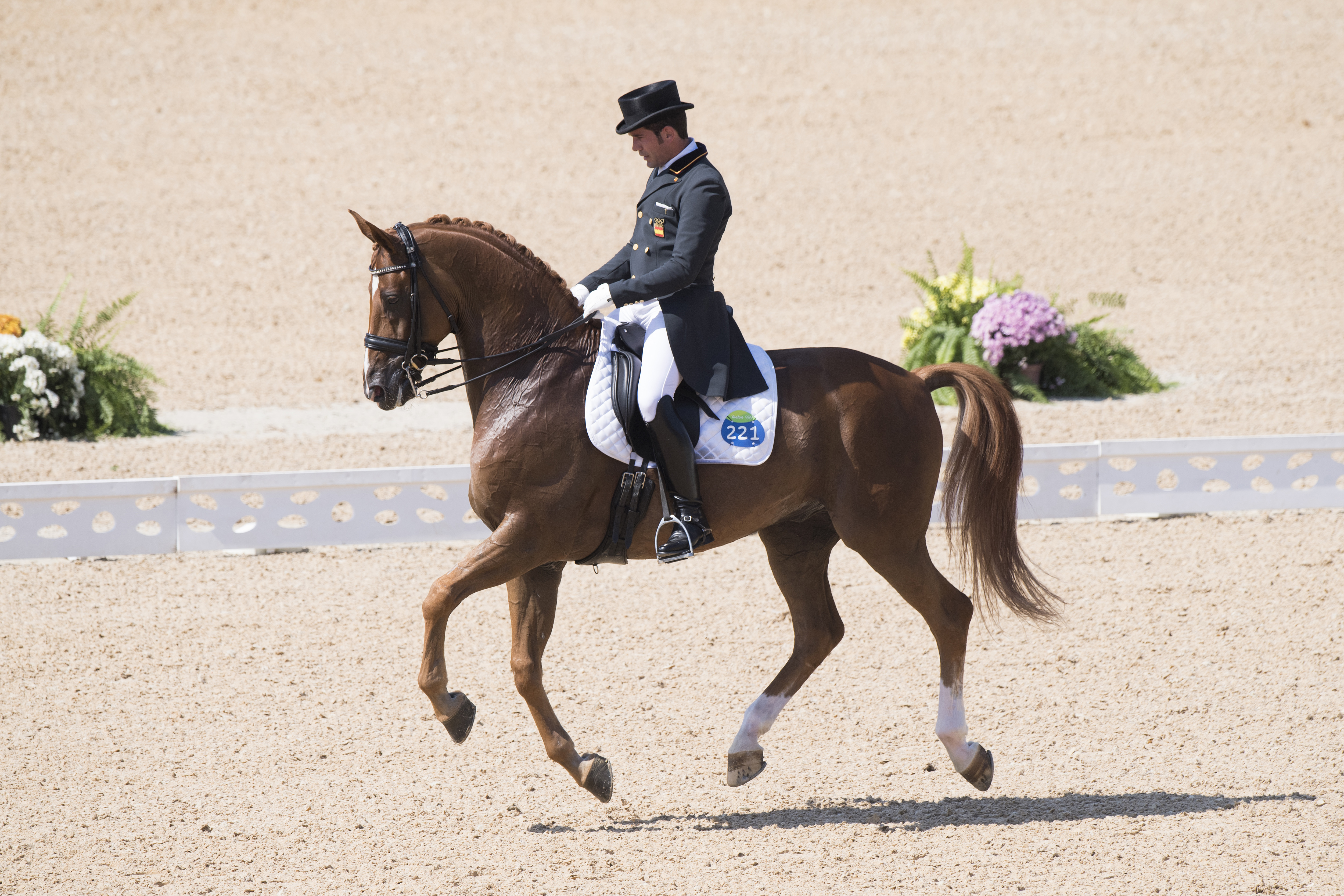 DRESSAGE INDIVIDUAL FREESTYLE.ESP JURARDO LOPEZ Severo Jesus
