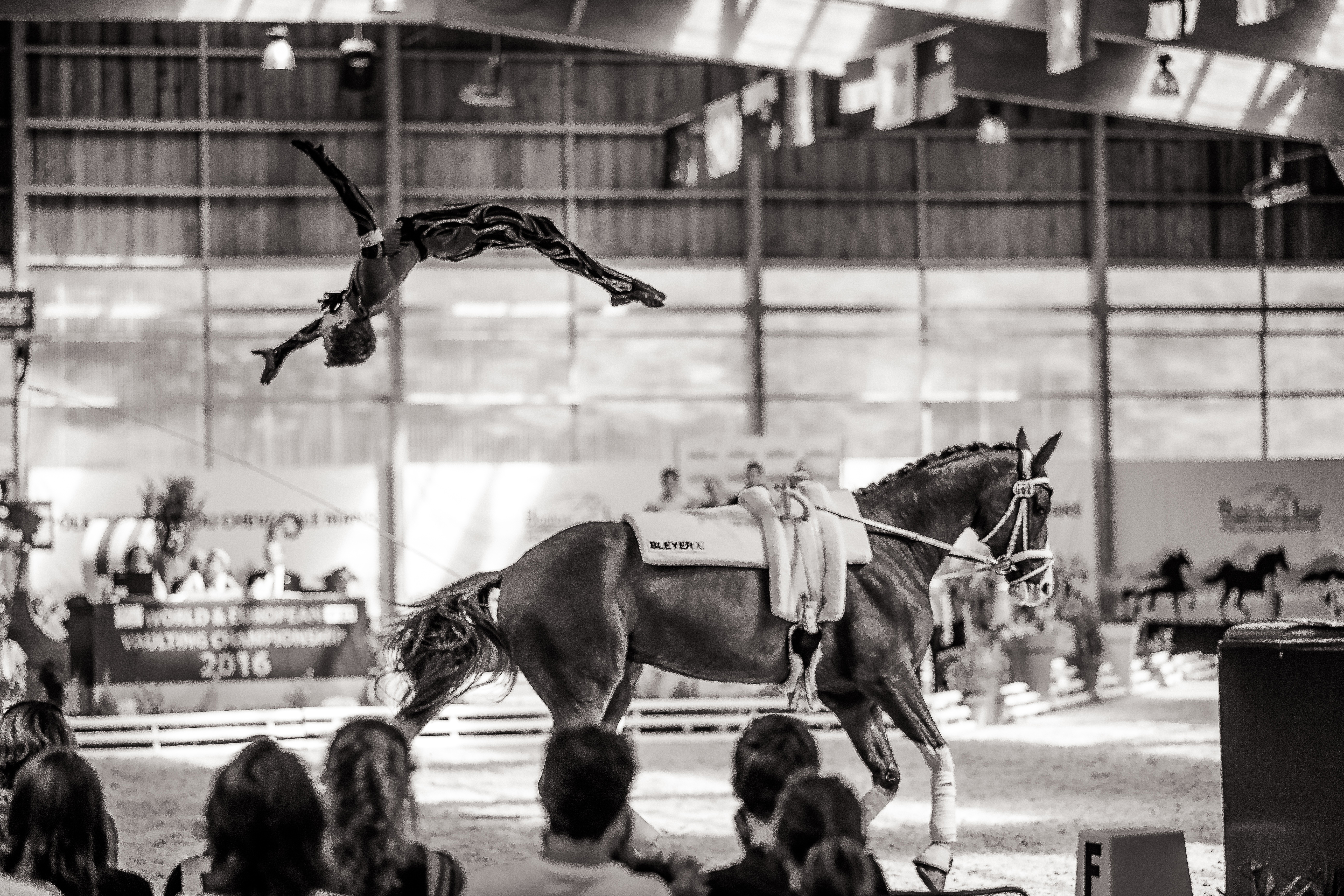 FEI European Vaulting Championships for Juniors