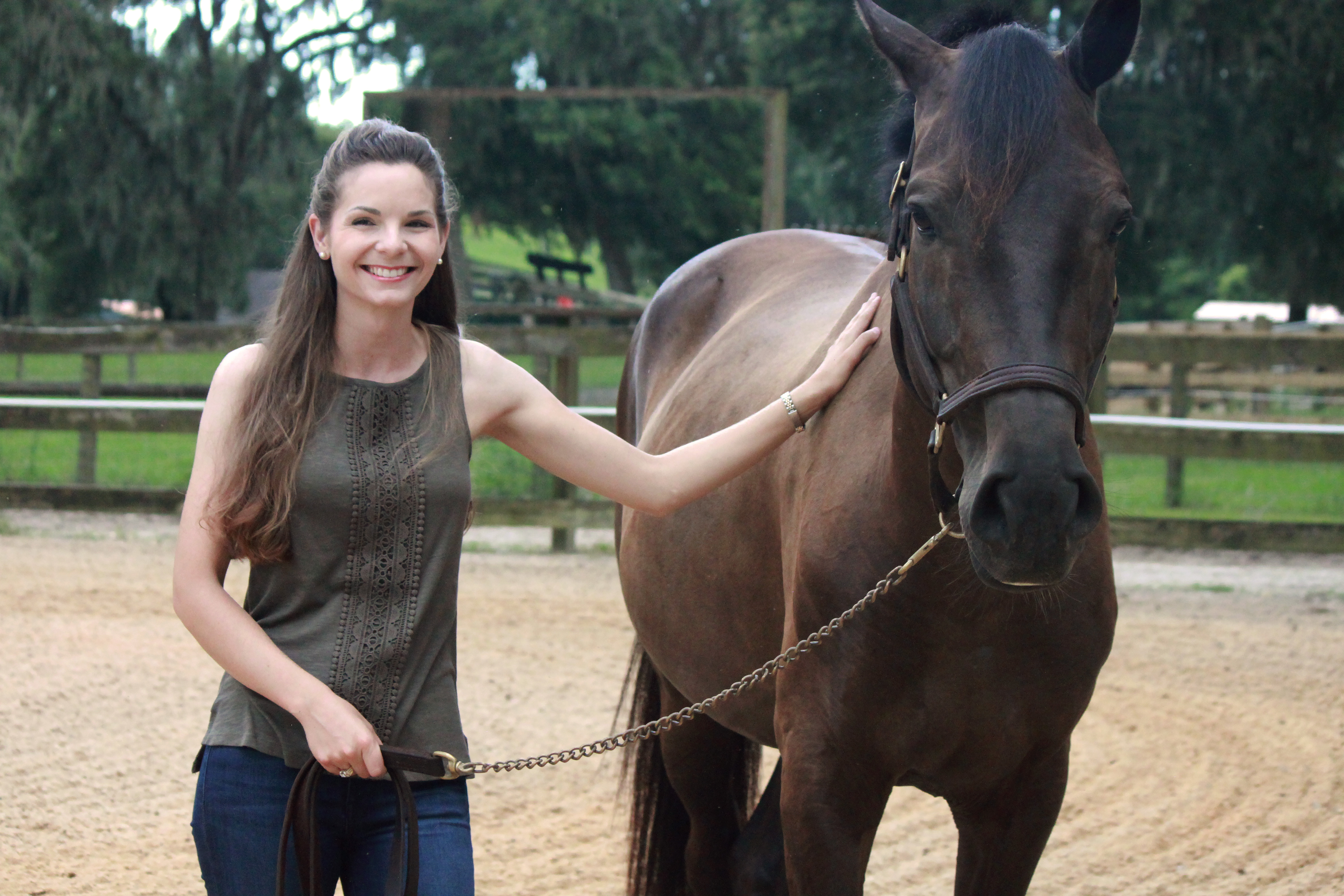 horse1