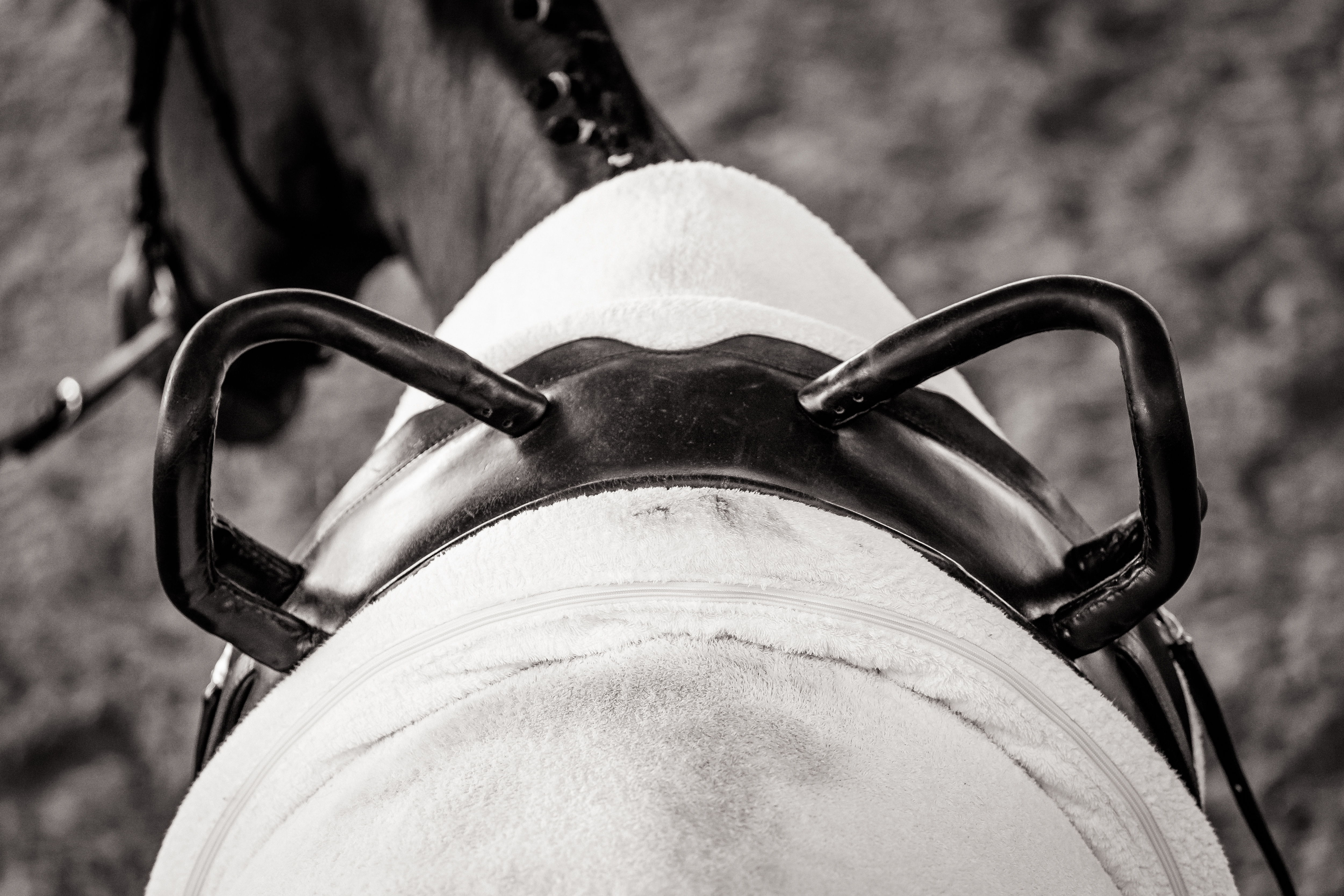 FEI World Vaulting Championships